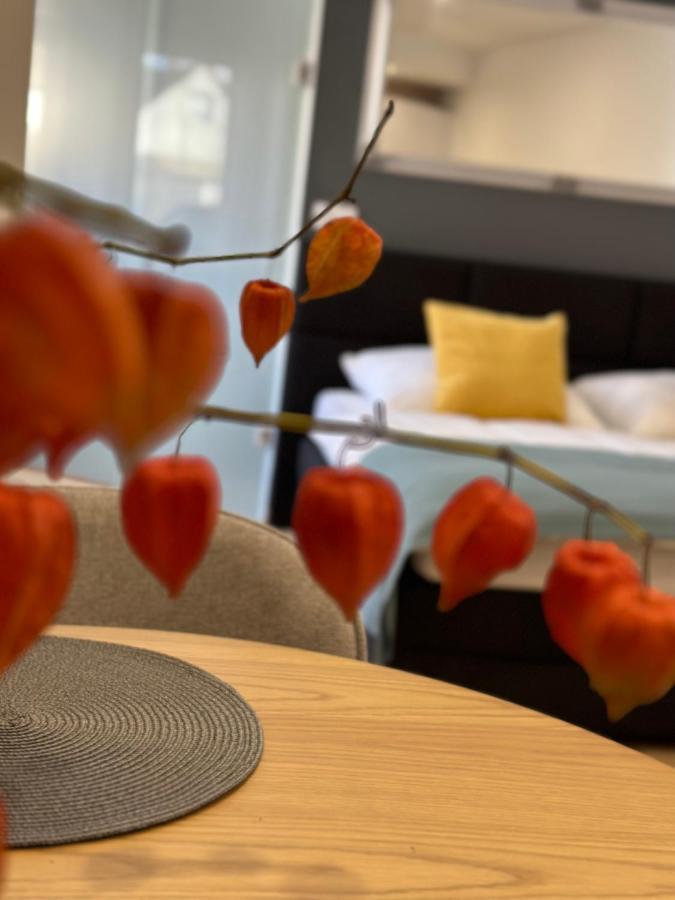 Studio Apartman Apartment *
